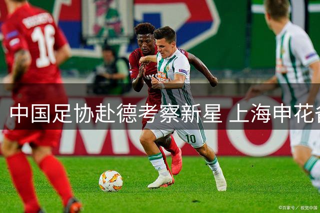 中国足协赴德考察新星 上海申花备战迎转机