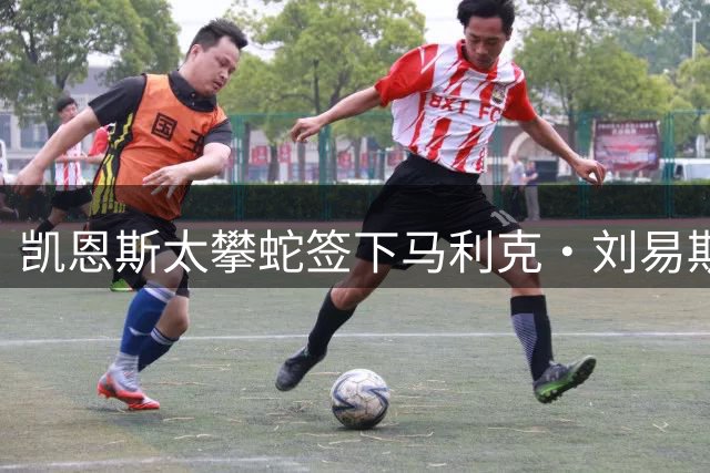 凯恩斯太攀蛇签下马利克·刘易斯