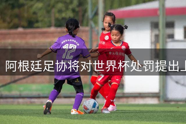 阿根廷足协将对世界杯处罚提出上诉